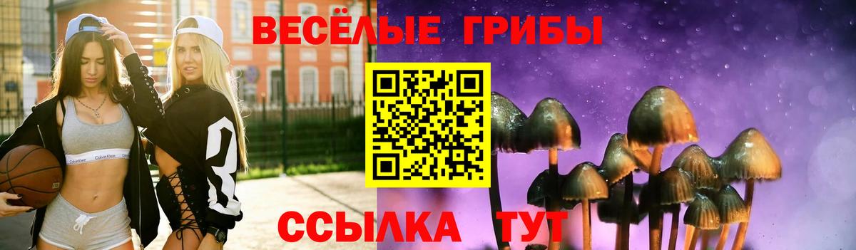Псилоцибиновые грибы прущие грибы  Вход с VPN  Туймазы 